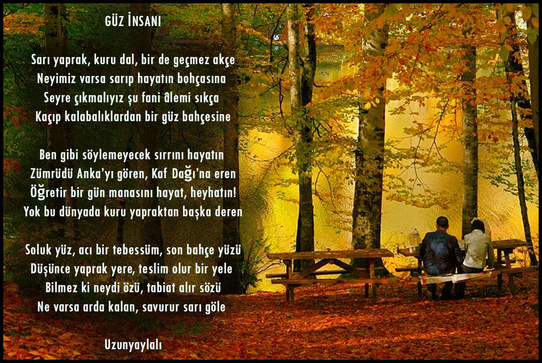 14abdf165df034143eec3e8pb8