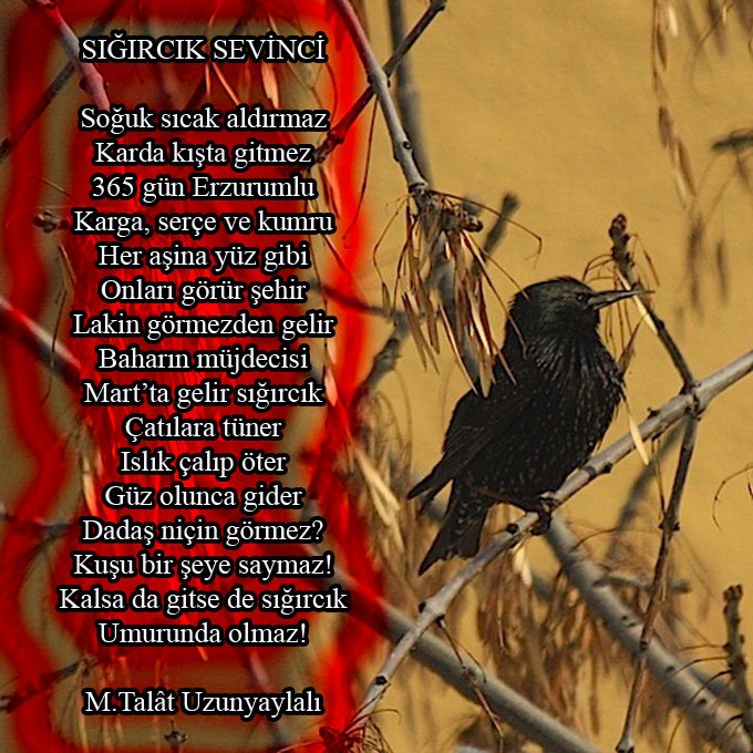 CdWV2RiW4AA0HDH.jpg large