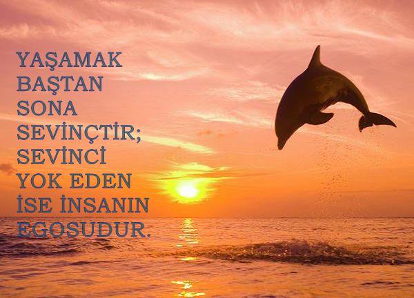 CIFhdzDWcAAPVQg.jpg large