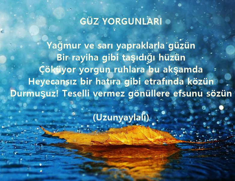 CNvBCrHUsAAt8KY.jpg large