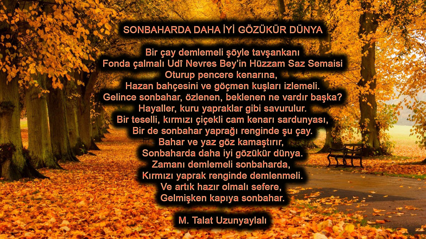 sonbahar_ve_park__gzel_manzara