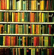 tumblr_lp8wq0CHLn1qm6q8do1_500