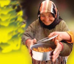 040720130045177449130