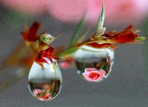 547104_360273327435011_887803035_n