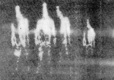 gercek-cin-goruntuleri