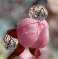 7a99a79735e1498a4a7f31a243031a4d_1__1257178453