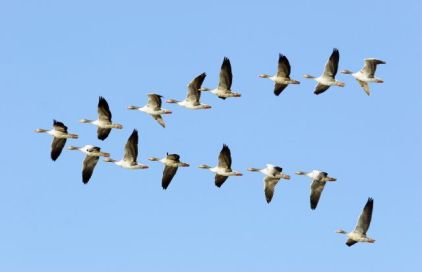 A-RobertHarding-817-186737_gbfdur