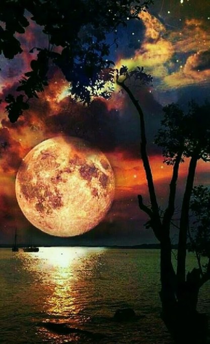 b7a7b9bfbd11c9d87c3995c31e174801