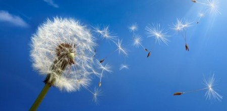 652_320_c5c33a74-kuran-mucizesi--asilayici-ruzgarlar