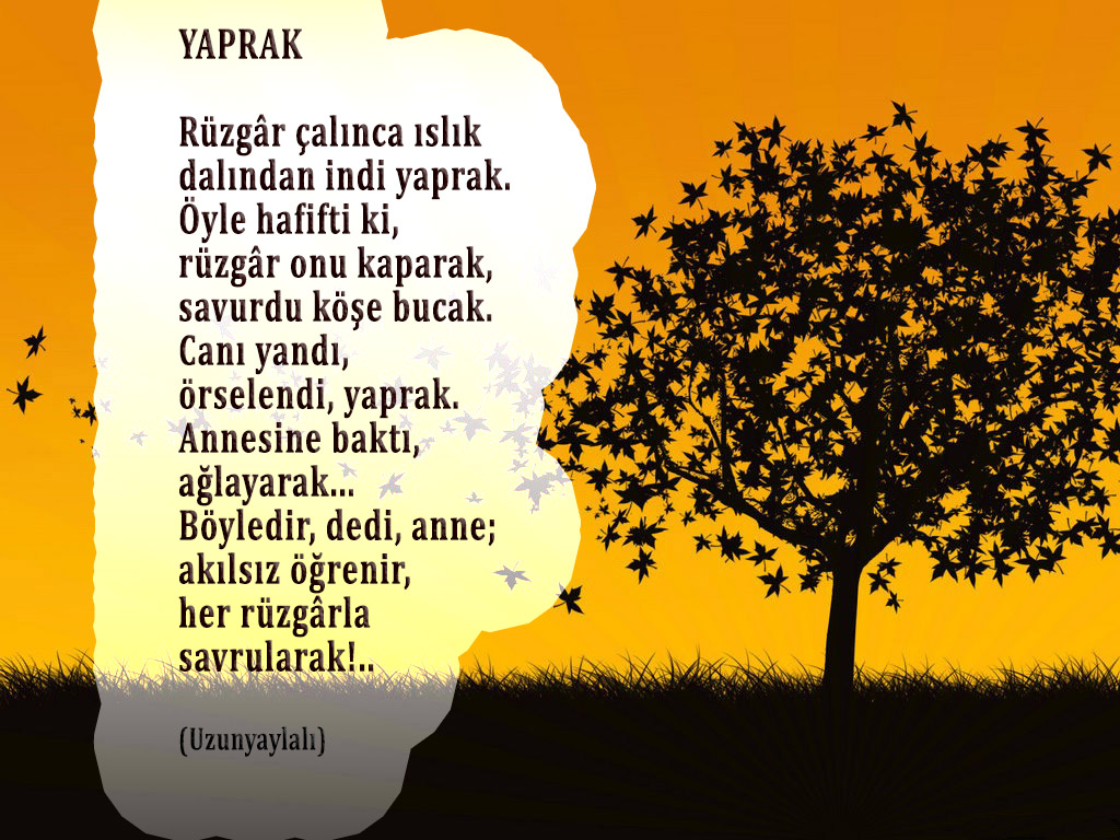 Agac_ve_yapraklari