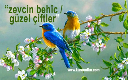 bahar-ve-kuc59flar