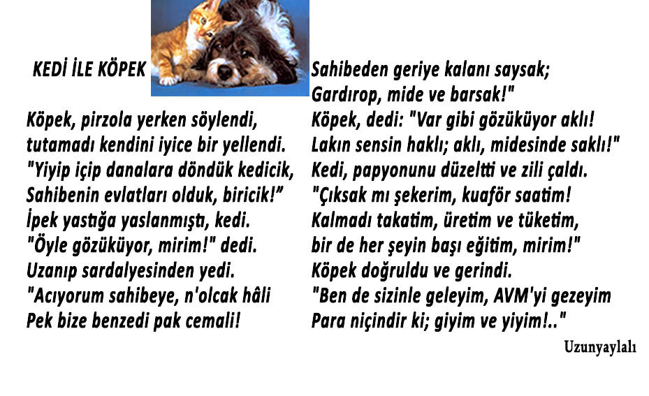 kedi-kopek-dost-3