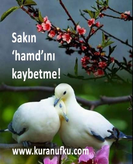 Screenshot_2017-12-06-22-07-17-1