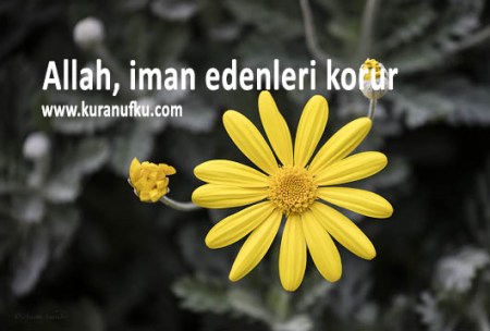 Yellow_by_Annette_Schreiber