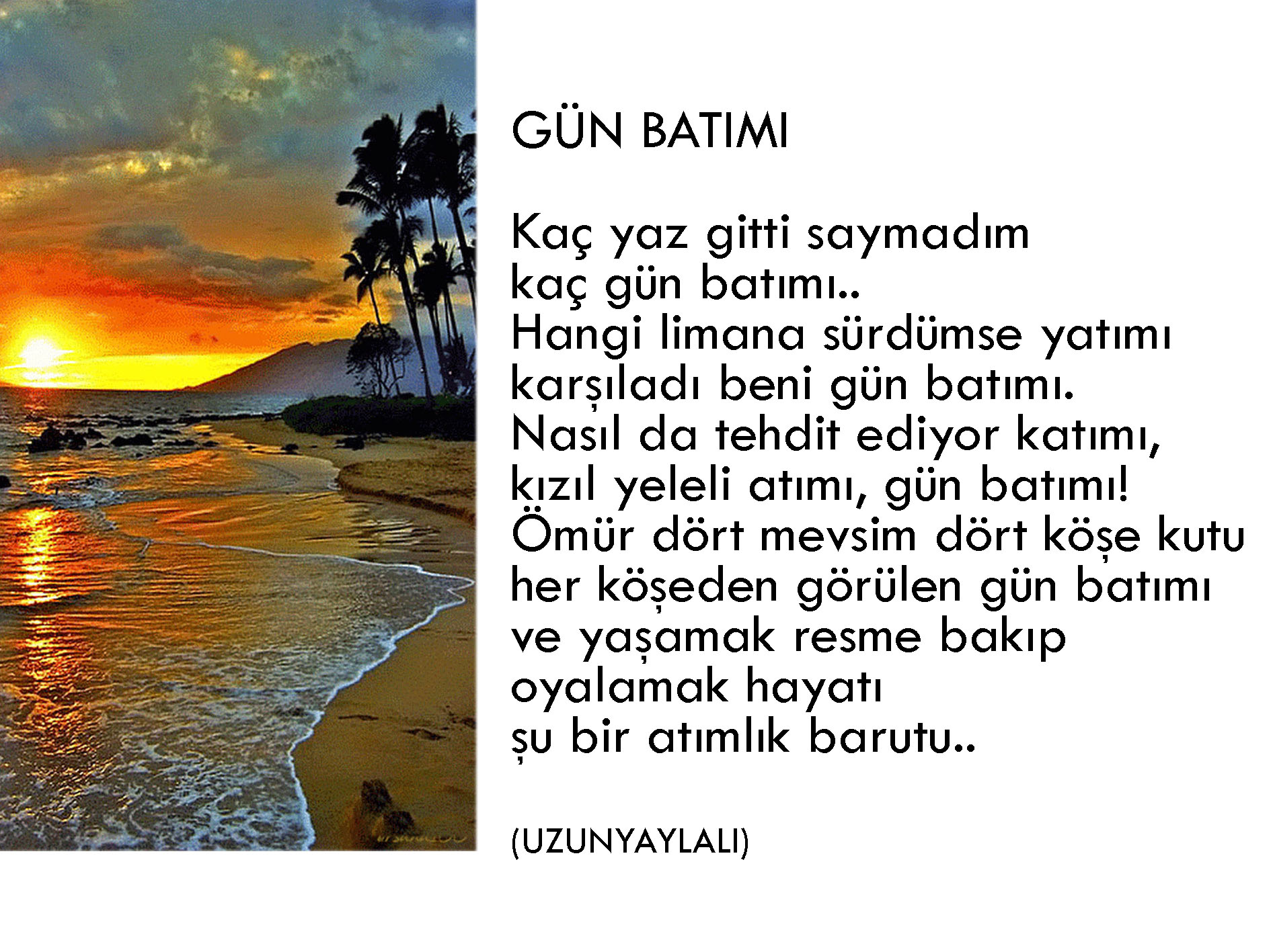 Başlıksız-1-Kurtarıldı