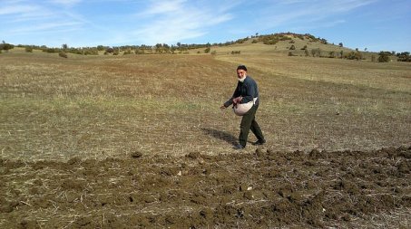 s-dae4e6d8de606b3d4f06ba5f5fc6676cb67bc795