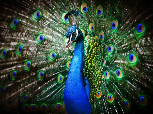 ihsan-ozcitak-mediacat-agustos-2018