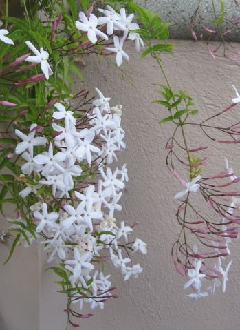 1dec57dcbd0d0059fbb4a50fd8aa0859