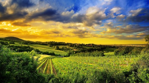 Yemyesil-Koy-Manzarasi-Ve-Mavi-Gok-Duvar-Kagidi