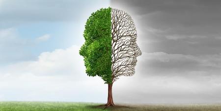 zitlik_alemi2-702x336