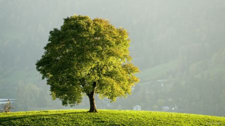 av3c8a421dafc90bbe683